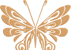 Butterfly 05 5x7